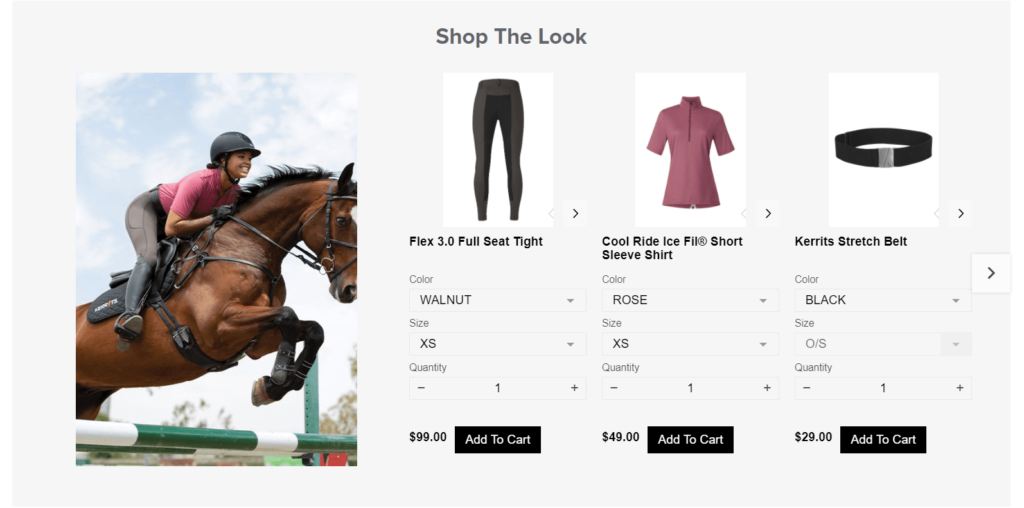 best shopify stores for clothing