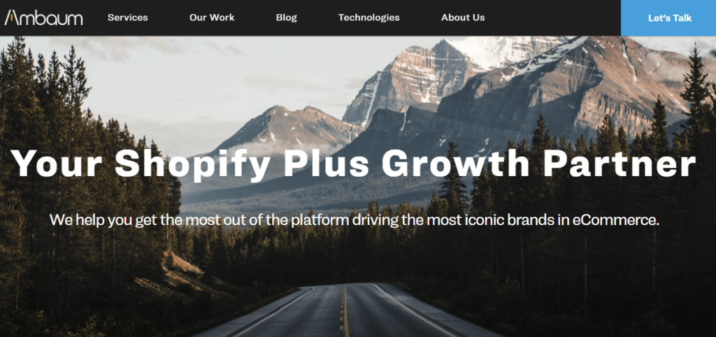 what is a shopify development agency