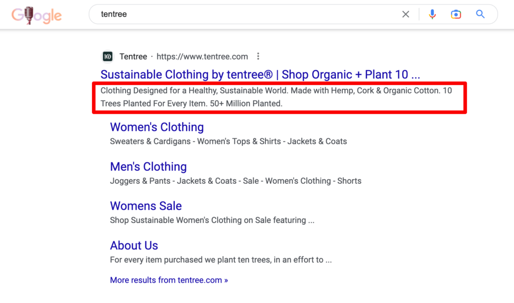 how can you optimize Shopify homepage seo